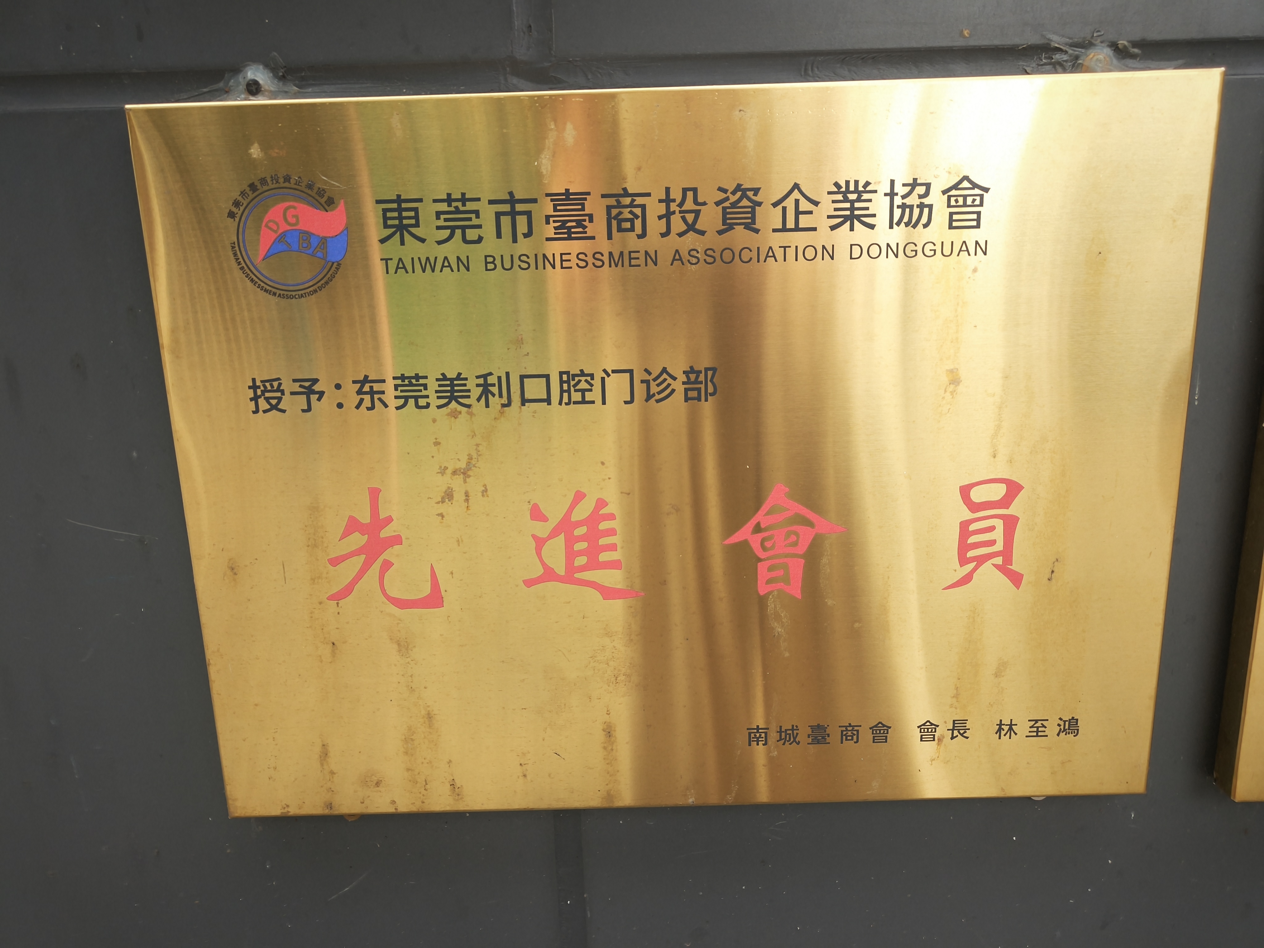 东莞市台商投资企业协会先进会员